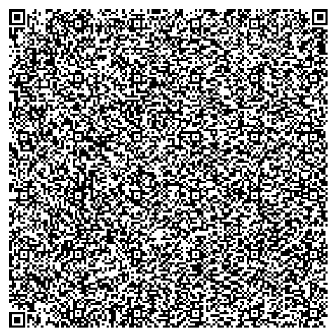 Multi-link QR code holding 20 links, version 31 at error correction M